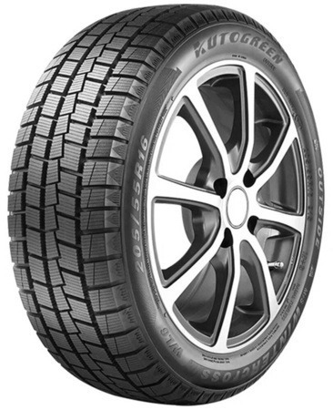 245/55R19 103S Autogreen WL6