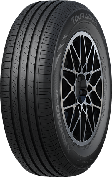 205/50R16 87W Tourador X WONDER TH1
